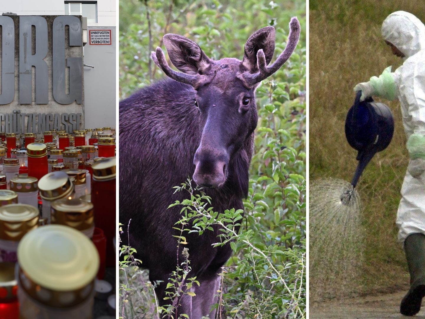 Das war das Chronikjahr 2025.