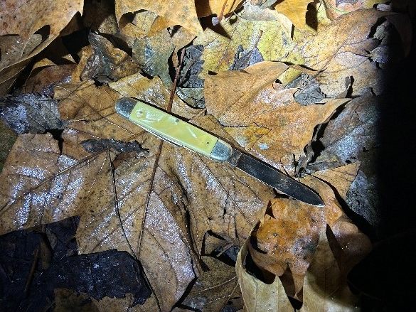 Das Klappmesser wurde von den Wiener Polizisten in einem Gebüsch entdeckt.