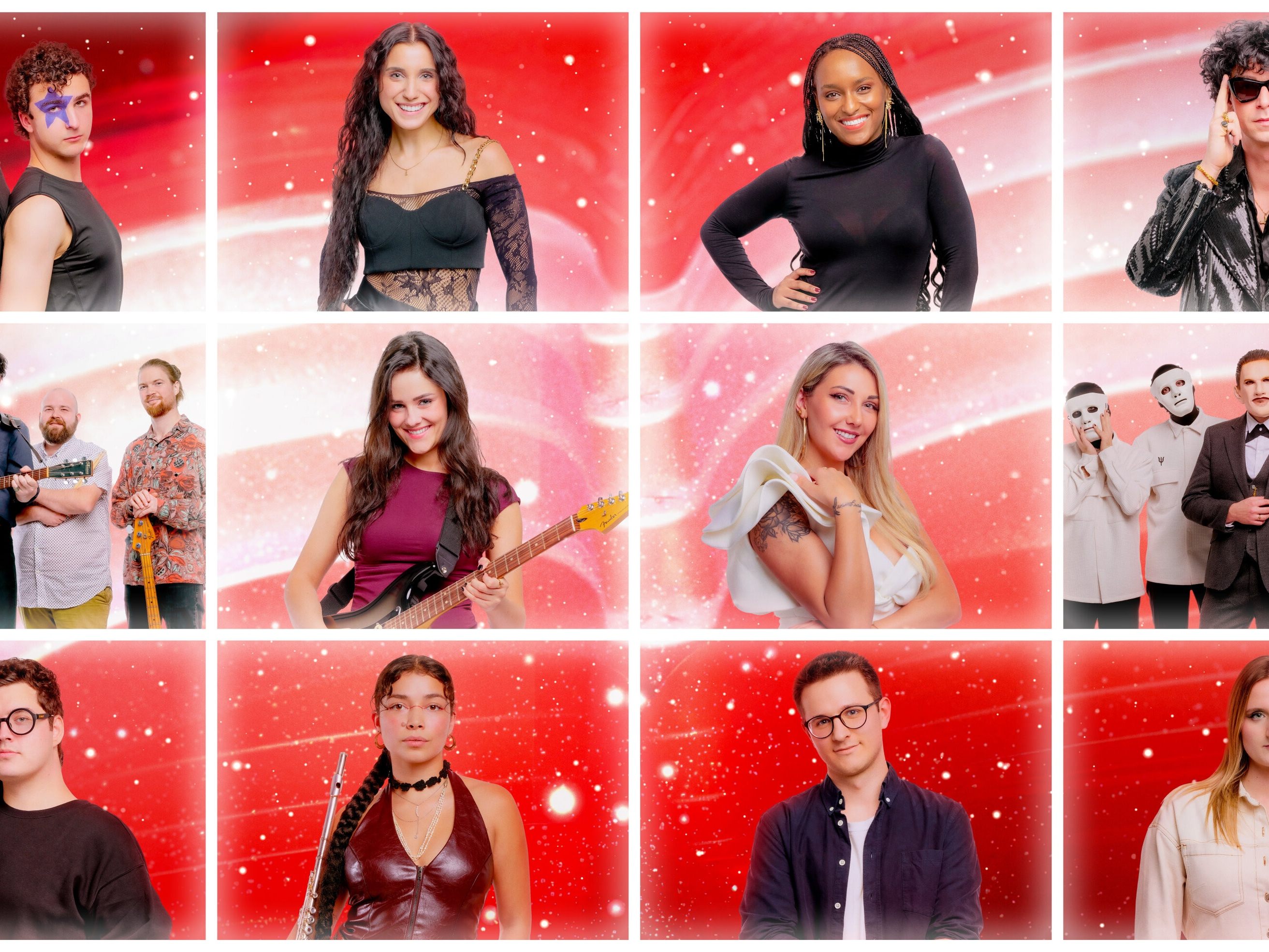 Diese zwölf Acts wollen zum Song Contest in Wien.